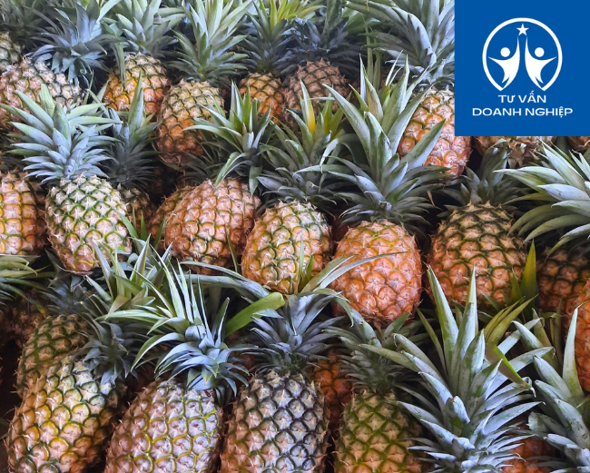 Công ty Giống cây trồng IVP được cấp Giấy chứng nhận Doanh nghiệp Khoa học và Công nghệ